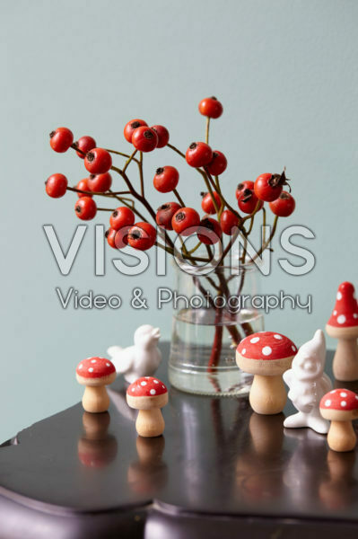 Rose hips in vase Rose hips in vase