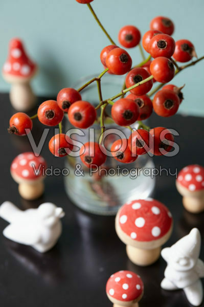 Rose hips in vase Rose hips in vase