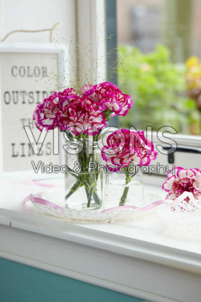 Dianthus on vase Dianthus on vase