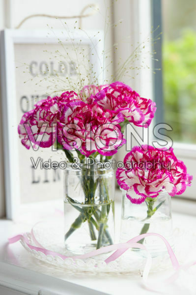 Dianthus in vase Dianthus in vase