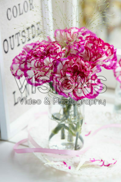 Dianthus in vase Dianthus in vase