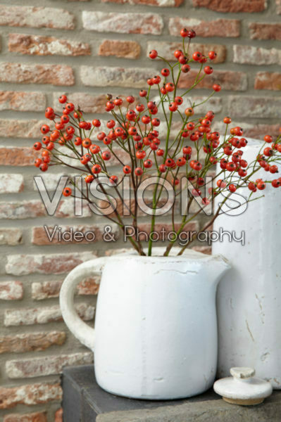 Rose hips in vase Rose hips in vase