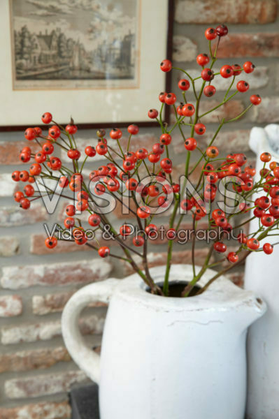 Rose hips in vase Rose hips in vase