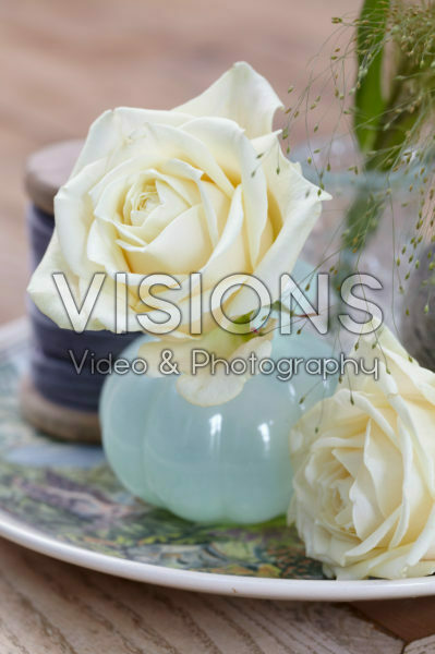 Rosa Avalanche in vase Rosa Avalanche in vase