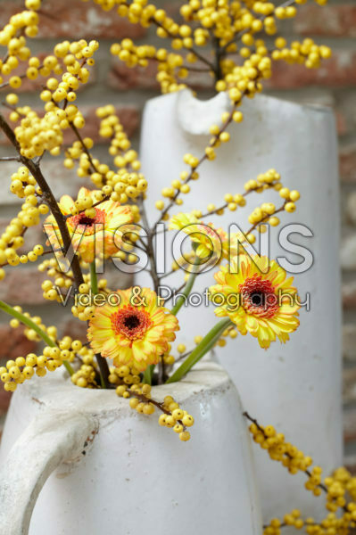 Gerbera and Ilex bouquet Gerbera and Ilex bouquet
