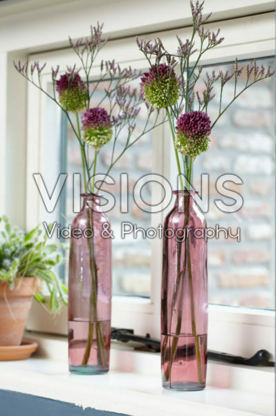 Allium and Statice flowers in vases Allium and Statice flowers in vases