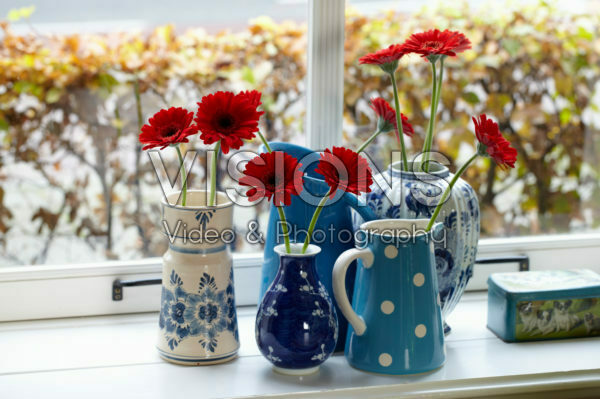 Gerbera in vases Gerbera in vases