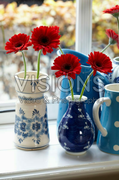 Gerbera in vases Gerbera in vases