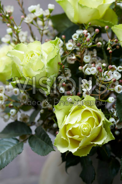 Rosa and Chamelaucium bouquet Rosa and Chamelaucium bouquet