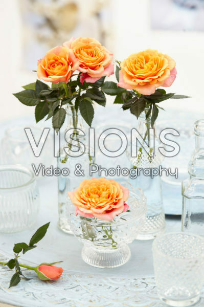 Roses in vases Roses in vases
