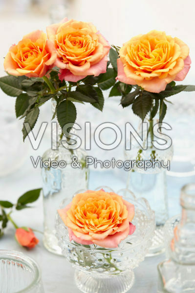 Roses in vases Roses in vases