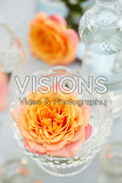 Rose in vase Rose in vase