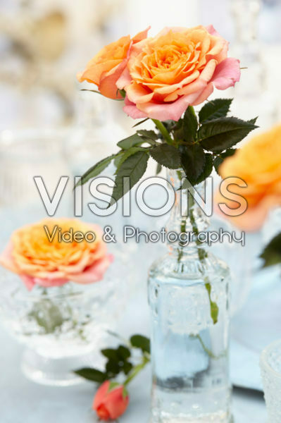 Roses in vases Roses in vases
