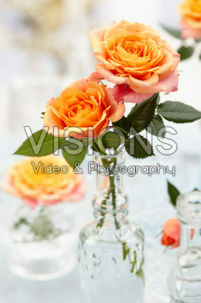 Roses in vases Roses in vases