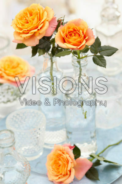 Roses in vases Roses in vases