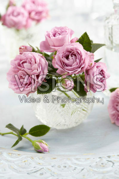 Roses in vase Roses in vase