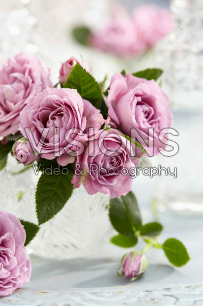 Roses in vase Roses in vase