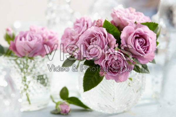 Roses in vase Roses in vase