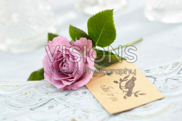 Rosa pink Rosa pink