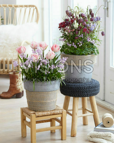 Spring containers Spring containers