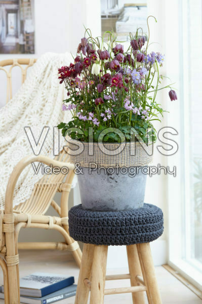 Spring container Spring container