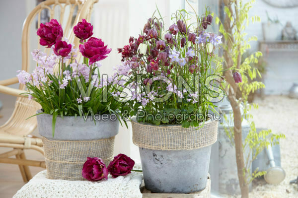 Spring containers Spring containers