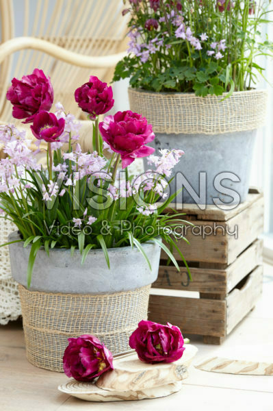 Spring containers Spring containers