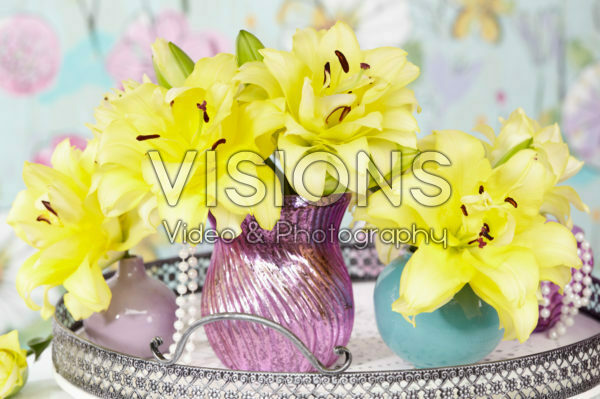 Lilium Exotic Sun Lilium Exotic Sun