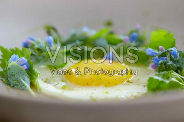 Fried egg with Blue Ocean flowers Fried egg with Blue Ocean flowers
