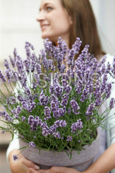 Lady with Lavandula angustifolia Lady with Lavandula angustifolia