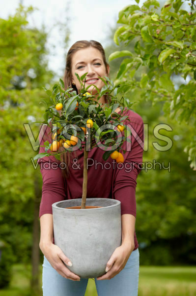Lady holding citrus plant Lady holding citrus plant