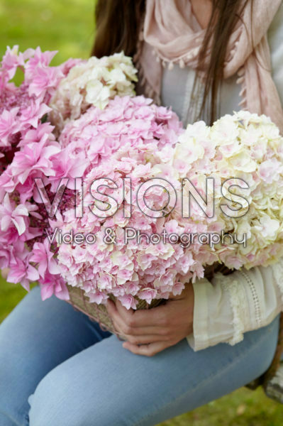 Lady with hydrangea flowers Lady with hydrangea flowers