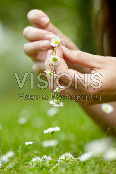 Chain of daisies Chain of daisies