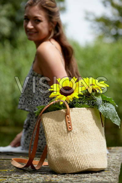 Helianthus annuus Helianthus annuus