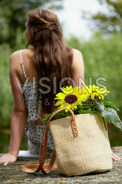 Helianthus annuus Helianthus annuus