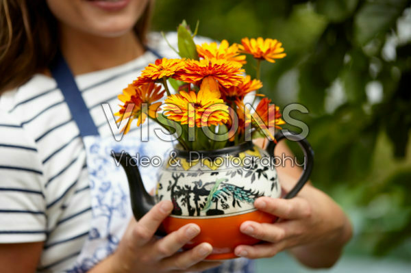 Calendula officinalis Calendula officinalis