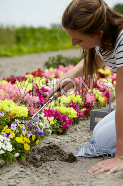 Lady gardening Lady gardening