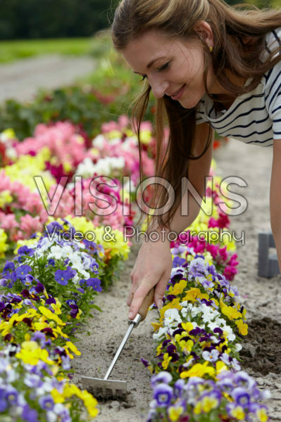 Lady gardening Lady gardening