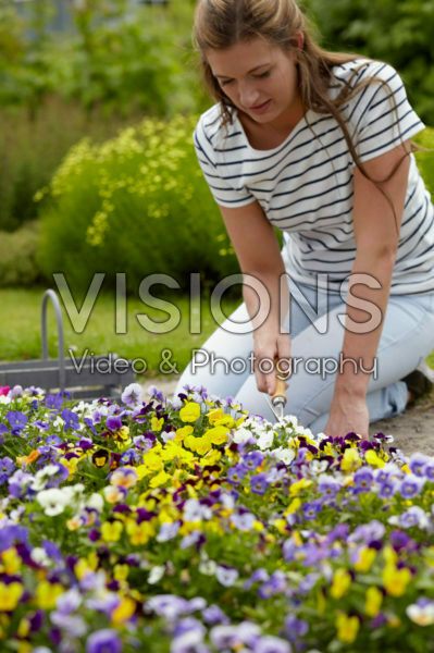 Lady gardening Lady gardening