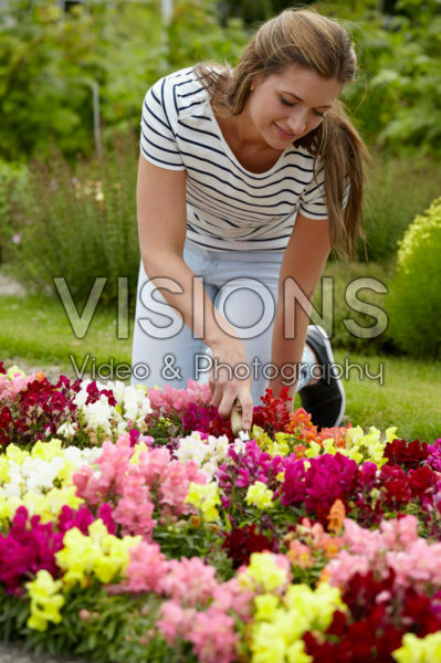 Lady gardening Lady gardening