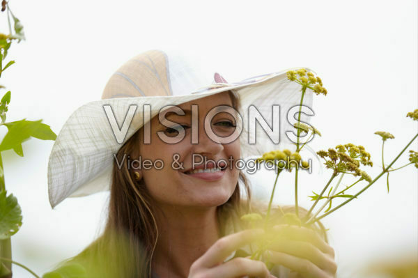Levisticum officinale Levisticum officinale
