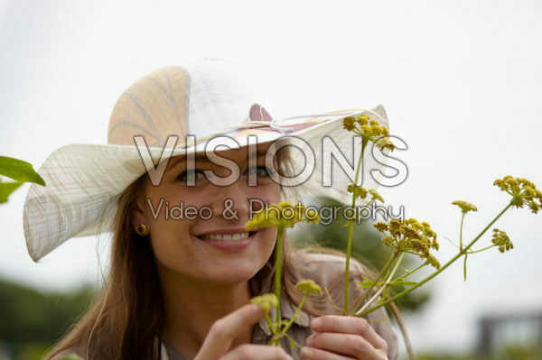 Levisticum officinale Levisticum officinale
