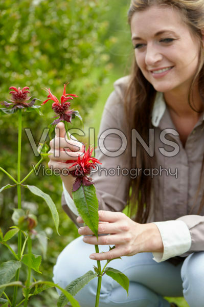 Lady with Monarda flowers Lady with Monarda flowers