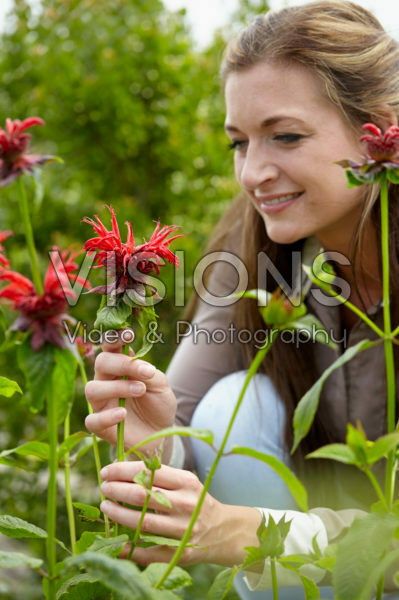 Lady with Monarda flowers Lady with Monarda flowers