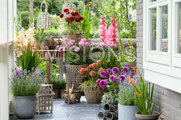 Porch with summer flowers Porch with summer flowers