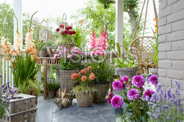 Porch with summer flowers Porch with summer flowers