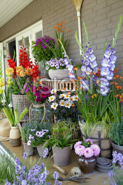 Porch with summer flowers Porch with summer flowers