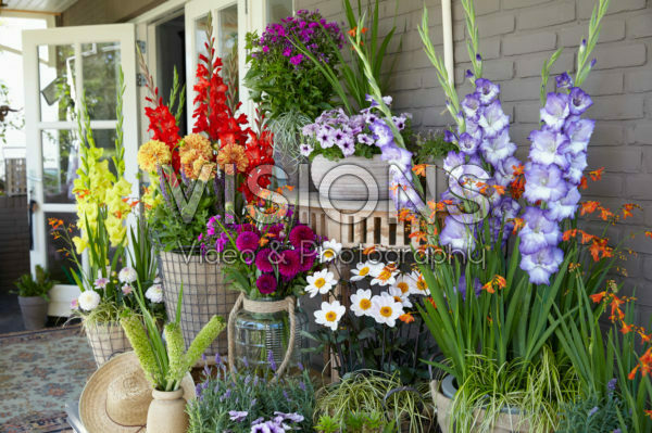 Porch with summer flowers Porch with summer flowers