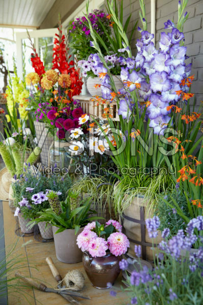 Porch with summer flowers Porch with summer flowers