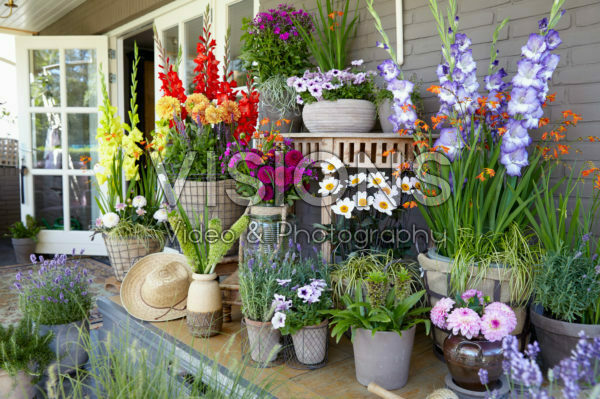 Porch with summer flowers Porch with summer flowers